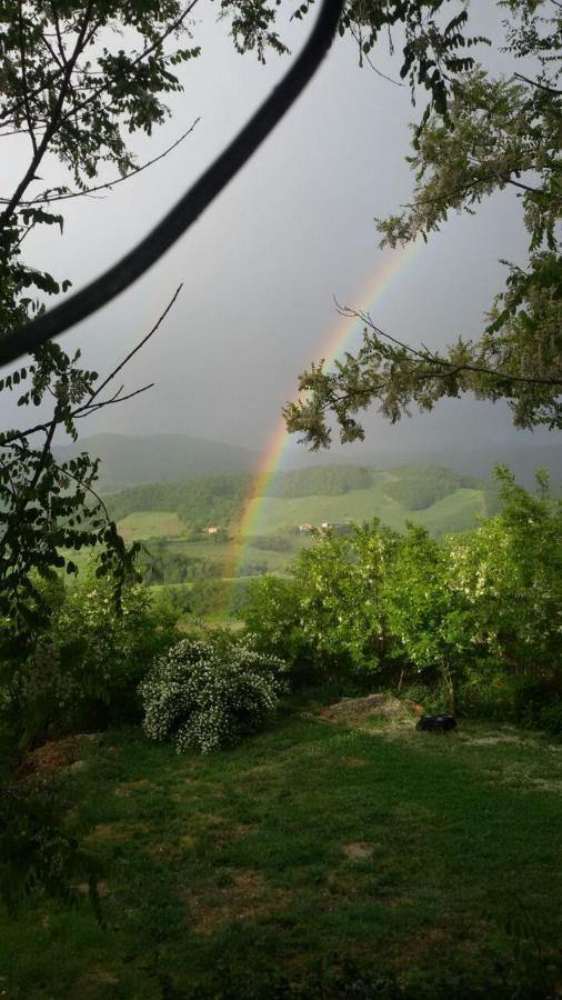 Agriturismo Il Colore Del Grano San Vittore  Екстериор снимка