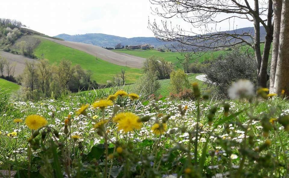 Agriturismo Il Colore Del Grano San Vittore  Екстериор снимка