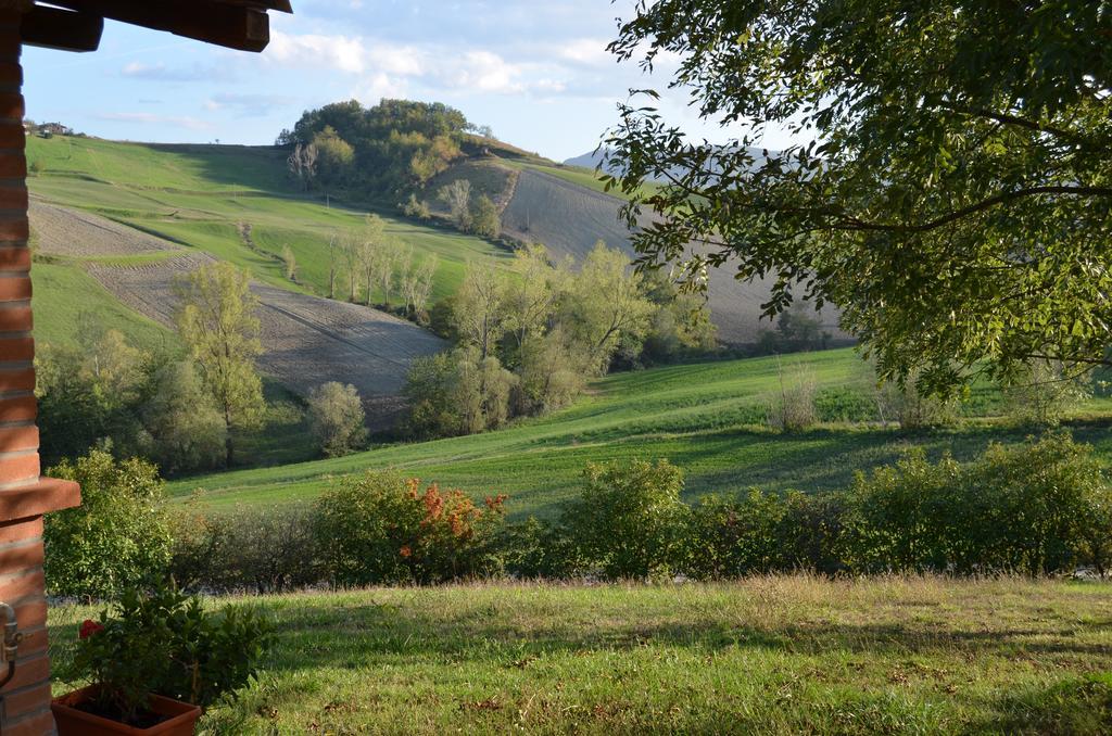 Agriturismo Il Colore Del Grano San Vittore  Екстериор снимка
